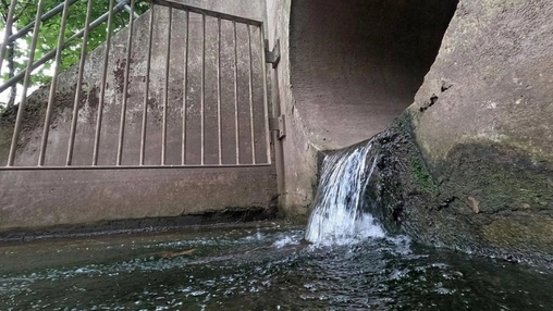 Rusted iron gate beside a concrete drainage wall with water flowing forcefully through a structural gap