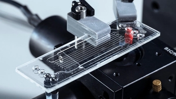 A clear microfluidic chip with patterned channels and red markers mounted in a black laboratory instrument